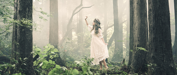 Photograph Kenichi Takeuchi Foggy Forest on One Eyeland